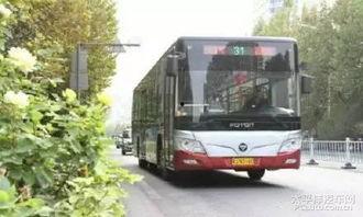 沧州公交车爆料最新消息,揭秘线路调整与票价变动详情